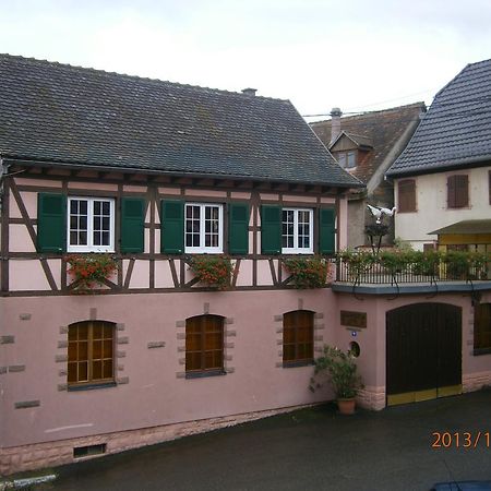 Gite Au Nid De Cigognes Vila Dieffenthal Exterior foto