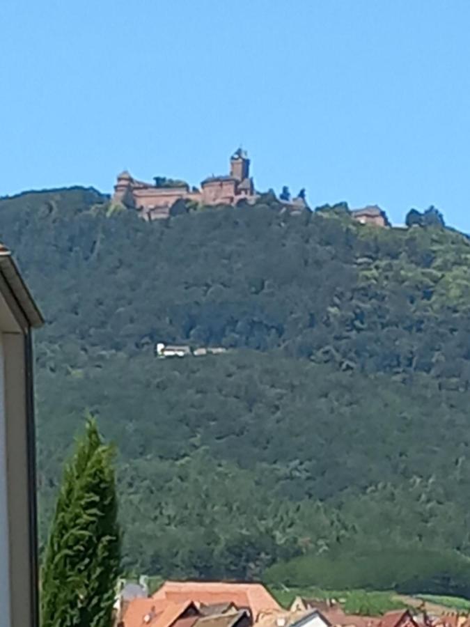 Gite Au Nid De Cigognes Vila Dieffenthal Exterior foto