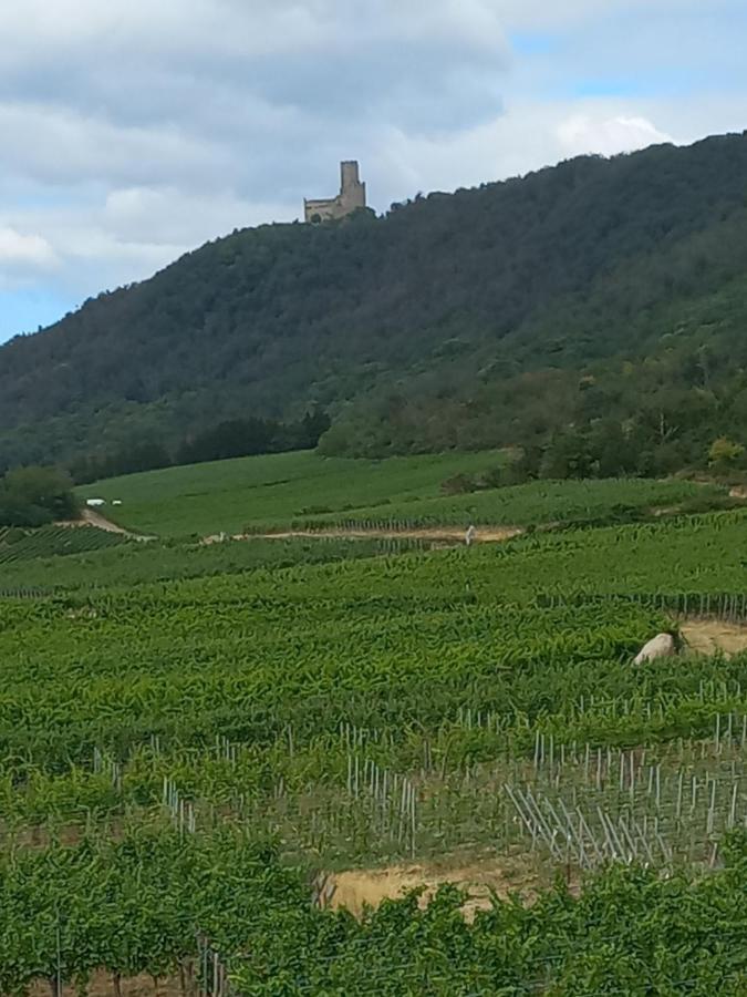 Gite Au Nid De Cigognes Vila Dieffenthal Exterior foto
