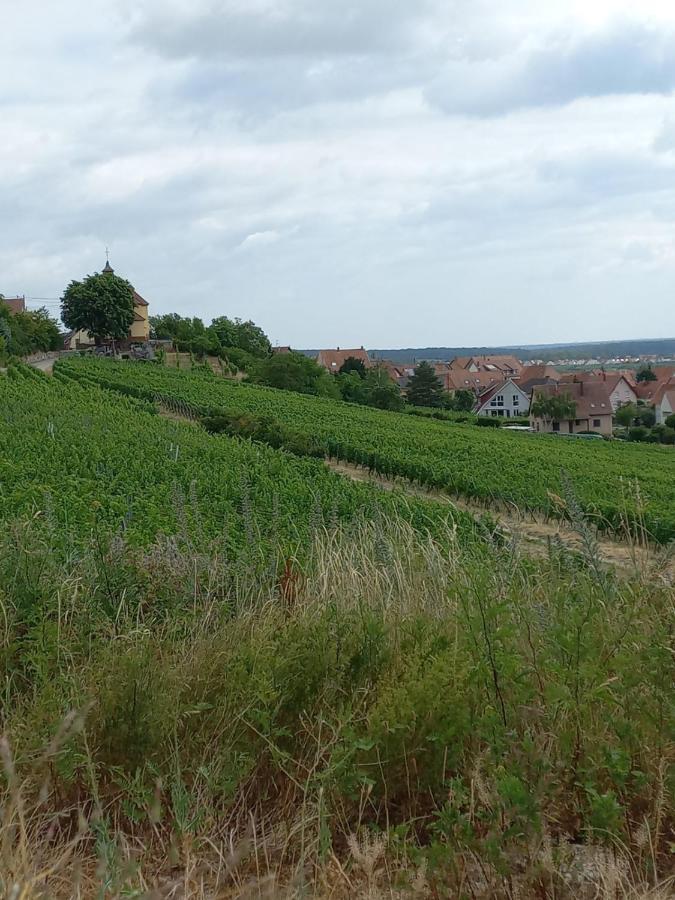 Gite Au Nid De Cigognes Vila Dieffenthal Exterior foto