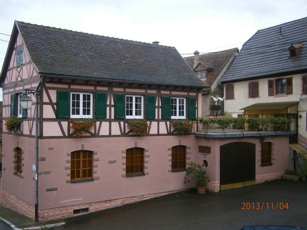 Gite Au Nid De Cigognes Vila Dieffenthal Exterior foto